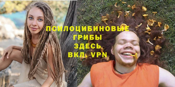 PSILOCYBIN Лихославль