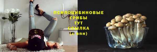 эйфоретик Болхов