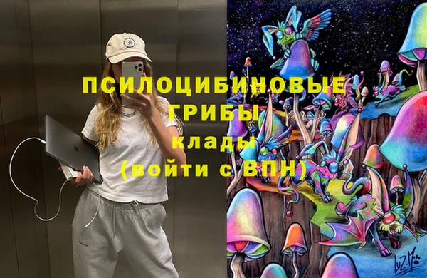 сатива Липки