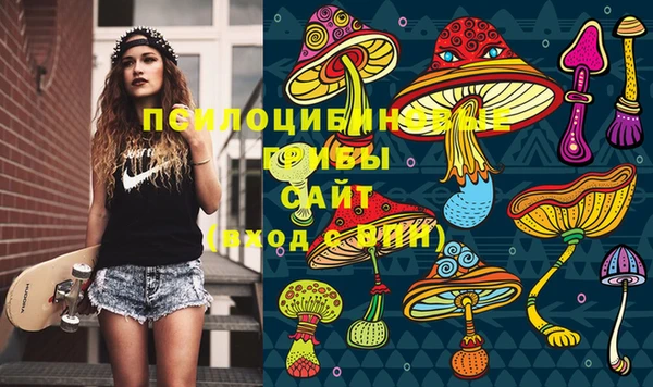 PSILOCYBIN Лихославль