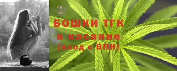 сатива Липки