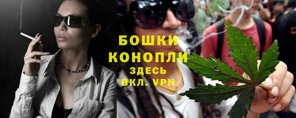 сатива Липки